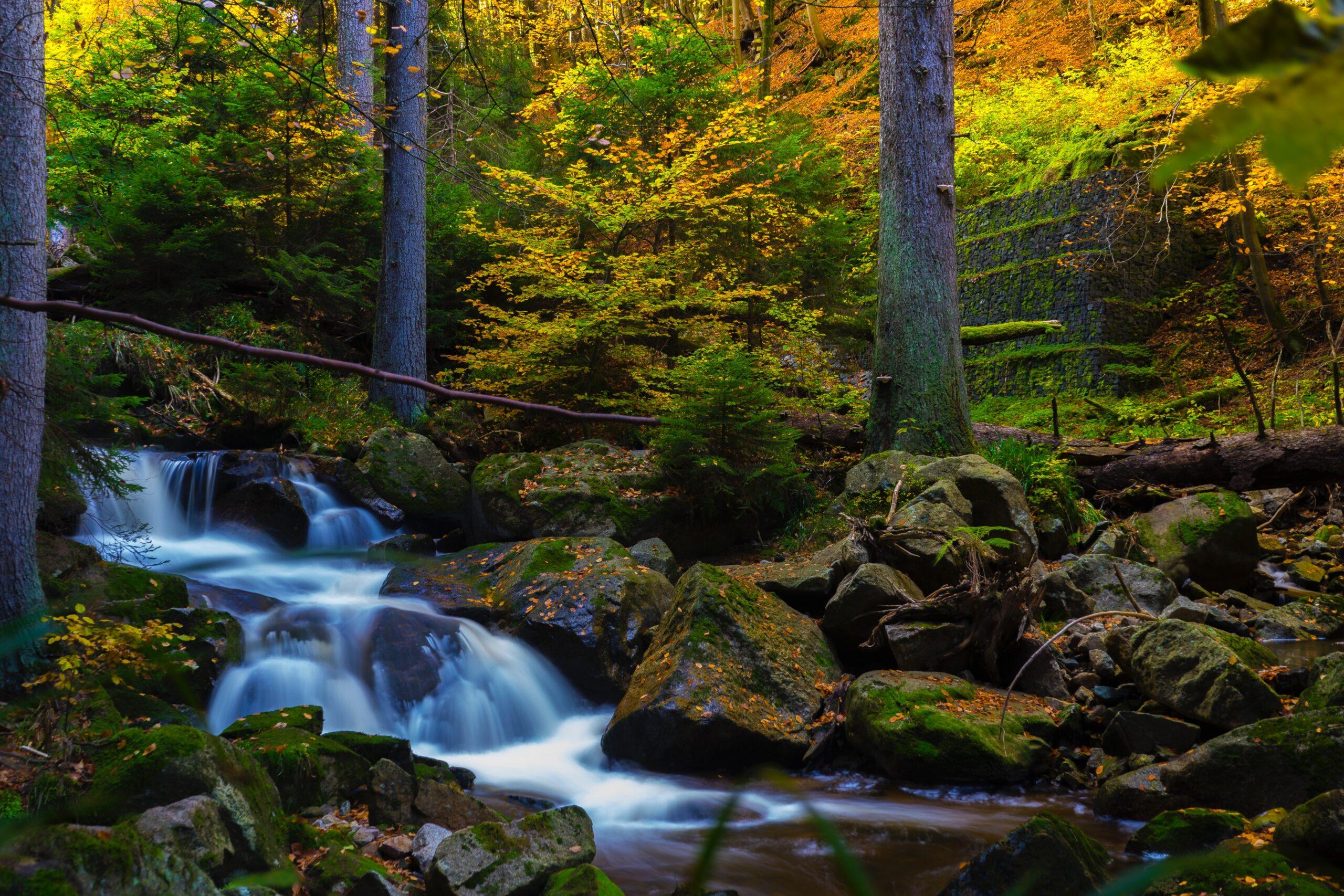 Naturmotiv zur Nachhaltigkeitsseite